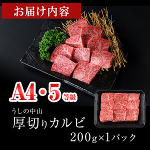 ＜A4・A5等級＞鹿児島県産黒毛和牛 うしの中山 焼き肉用厚切りカルビ 200g 鹿児島県産 黒毛和牛 和牛 カルビ 切り落とし 肉 牛肉 国産 九州産 焼肉 BBQ A5 A4 日本一 ランキング 人気 a0-383