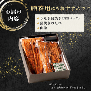 うなぎ蒲焼 1尾 ハーフカット2枚 国産うなぎ 冷凍