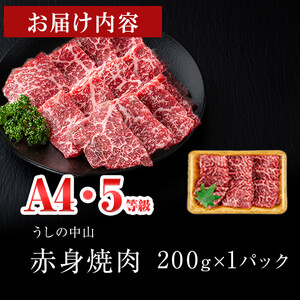＜A4・A5等級＞鹿児島県産黒毛和牛 うしの中山 赤身焼肉用200g 黒毛和牛 和牛 肉 牛肉 国産 九州産 鹿児島県産 焼肉 赤身 日本一 a1-144