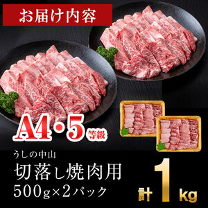 ＜A4・A5等級＞鹿児島県産黒毛和牛 うしの中山 切り落とし焼肉用 計1kg(500g×2P) 黒毛和牛 和牛 肉 牛肉 国産 九州産 鹿児島県産 焼肉 日本一 c4-015