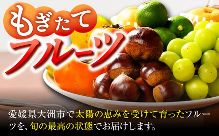 【全12回定期便】野菜×フルーツセット（6-7種）少量食べきりセット　 野菜 果物 やさい 少量セット[AGBX050]