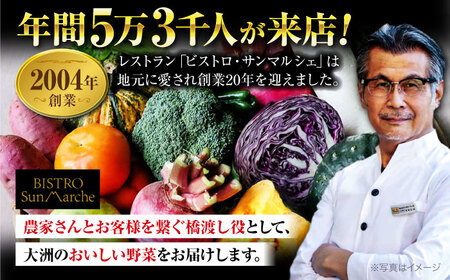 【全6回定期便】根菜×葉野菜 （6-7種）少量食べきりセット　 野菜 果物 やさい 少量セット[AGBX053]