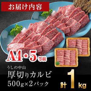 ＜A4・A5等級＞鹿児島県産黒毛和牛 うしの中山 焼き肉用厚切りカルビ 計1kg(500g×2P) 鹿児島県産 黒毛和牛 和牛 カルビ 肉 牛肉 国産 九州産 焼肉 BBQ 小分け A5 A4 日本一 ランキング 人気 c4-016
