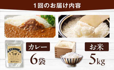 【全6回定期便】お米（5kg）×カレー（6袋）セット 米 定期便[AGBX061]