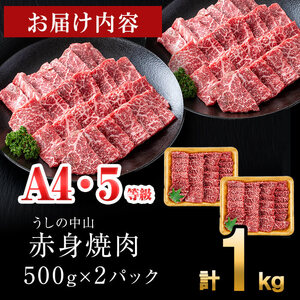 ＜A4・A5等級＞鹿児島県産黒毛和牛 うしの中山 赤身焼肉用 計1kg(500g×2P) 黒毛和牛 和牛 肉 牛肉 国産 九州産 鹿児島県産 焼肉 赤身 日本一 c8-034