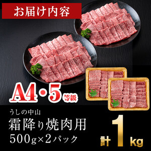 ＜A4・A5等級＞鹿児島県産黒毛和牛 うしの中山 霜降り焼肉用 計1kg(500g×2P) 黒毛和牛 和牛 肉 牛肉 国産 九州産 鹿児島県産 焼肉 霜降り 日本一 c9-005