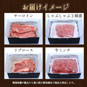 【12回定期便】 長崎和牛 スタンダードコース ／ 12回定期便 和牛 牛肉 お肉 肉 ヒレ もも カルビ バラ サーロイン 牛ミンチ ミンチ ロース リブロース すね トモサンカク シキンボ ステーキ 焼き肉 焼肉 すき焼き しゃぶしゃぶ 煮込み 煮込 ブロック セット 食べ比べ 定期便 長崎県 時津町 冷凍