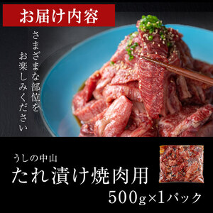 【数量限定】鹿児島県産黒毛和牛 うしの中山 タレ漬け焼肉用 500g 黒毛和牛 和牛 肉 牛肉 国産 九州産 鹿児島県産 焼肉 BBQ 味付け肉 たれ漬け 日本一 a8-085
