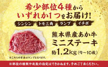 熊本あか牛 ミニステーキ約1.2kg（9〜10枚）[AYCB064]