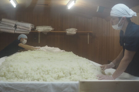 酒 日本酒 竹葉 能登純米 720ml 1本 [ＣＡＶＥＳ ＤＥ ＬＡ ますもと 石川県 志賀町 AF4102]