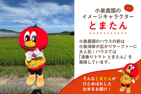 宮城県産 とまたんのひとめぼれ 3kg ひとめぼれ [サンフレッシュ小泉農園 気仙沼市 20565645]