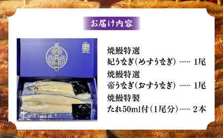 焼鰻めおと鰻セット：焼鰻特選メス妃うなぎ特大１尾と焼鰻特選オス帝うなぎ大1尾　計310g・Y100