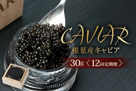 〈12回定期便〉【桐箱入り】キャビア 30g × 12回配送 計360g【世界三大珍味×日本三大秘境】宮崎 椎葉 国産 チョウザメ キャビア 魚卵 定期便 魚介 珍味 贈答 希少 SZ-104_12teiki