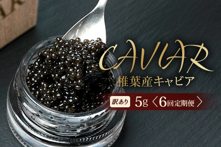 【6回定期便】【訳あり】HEIKE CAVIAR 5g × 6回 計30g 【世界三大珍味×日本三大秘境】 訳あり 宮崎 椎葉 国産 チョウザメ キャビア 定期便 魚卵 魚介 珍味 贈答 希少 SZ-115_6teiki