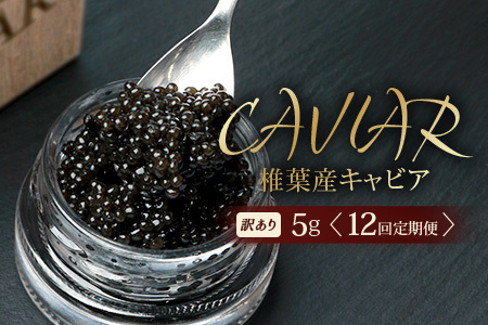 【12回定期便】【訳あり】HEIKE CAVIAR 5g × 12回 計60g 【世界三大珍味×日本三大秘境】 訳あり 宮崎 椎葉 国産 チョウザメ キャビア 定期便 魚卵 魚介 珍味 贈答 希少 SZ-115_12teiki