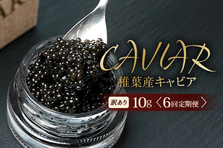 【6回定期便】【訳あり】HEIKE CAVIAR 10g × 6回 計60g 【世界三大珍味×日本三大秘境】 訳あり 宮崎 椎葉 国産 チョウザメ キャビア 定期便 魚卵 魚介 珍味 贈答 希少 SZ-116_6teiki