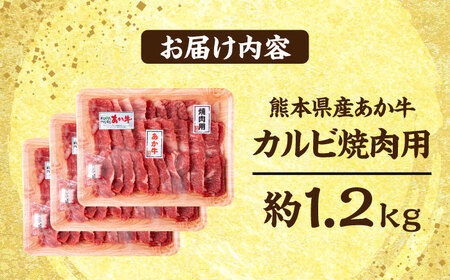 熊本 あか牛 カルビ 焼肉用 約1.2kg 焼肉[AYCB052]