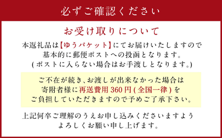 【11ヶ月定期便】熊本県産あか牛使用 くまもとあか牛 ビーフカレー 4人前 計640g(160g×4袋)