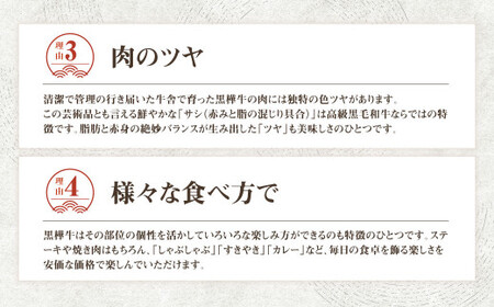 【3回定期便】 黒樺牛 切り落とし500g （500g×1パック） 計1500g 黒毛和牛 牛肉 切り落とし肉 冷凍
