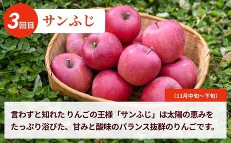 【訳あり】【3回定期便】旬のりんご 訳あり約3kg 食べ比べ 秋映 シナノスイート シナノホッペ サンふじ ［おぶせファーマーズ］ 不揃い 規格外 家庭用 果物 フルーツ りんご 林檎 リンゴ 長野県産 信州産 令和8年産 【2026年9月末～11月下旬】
