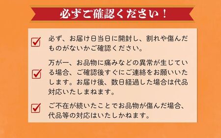 赤肉とろ甘メロン 2玉 メロン