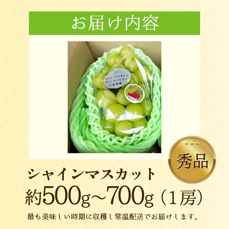 【先行予約】【種なし】上野梨園のシャインマスカット 1房 約500～700g【上野の葡萄】 / ぶどう フルーツ 果物 くだもの 贈答 お土産 種なし 旬 皮ごと食べる 　美容 ぶどう狩り 巨峰に負けない 爽やかな甘さ 大粒 新鮮 朝採れ 厳選※2026年9月上旬より順次発送 [aw077-a010]