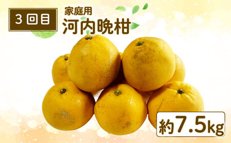 【みかん定期便】みかん定期便3回玉津柑橘倶楽部B030-072048