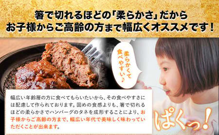 熊本県産あか牛100%生ハンバーグ 140g×13個入り2セット 合計3640g 《30日以内に出荷予定(土日祝除く)》熊本県産あか牛 冷凍