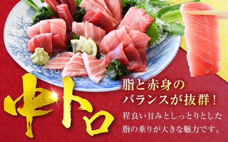 天然 本まぐろ大トロ＆中トロ 各4柵（計約1.8kg）  【横須賀商工会議所 おもてなしギフト事務局（本まぐろ直売所 横須賀本店）】[AKAK111]