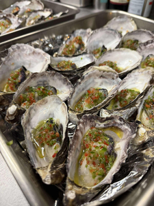 七尾牡蠣10個入り | かき 魚介類 訳あり 生活応援価格 ご家庭用 石川県 能登 復興支援 ※2026年7月～発送