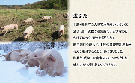北海道 十勝 幕別のブランド放牧豚 食べ比べ定期便 [バラエティ/全3回] 遊ぶた・どろぶた・マンガリッツァ豚【 豚 豚肉 ブランド 放牧 しゃぶしゃぶ 焼肉 ハンバーグ ソーセージ 厚切り スライス ロース バラ 冷凍 モモ ロース 詰合せ 幕別 】