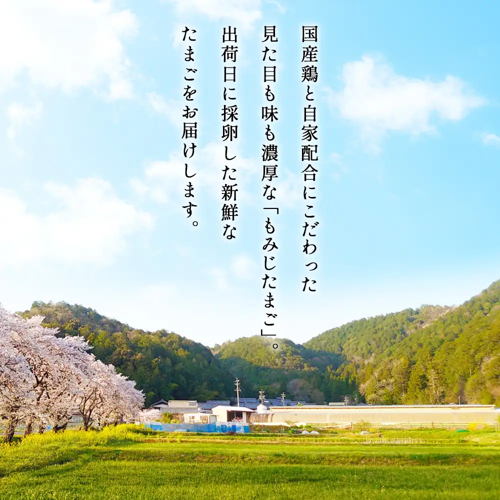 【山田養鶏】濃厚卵黄もみじたまご【40個入り】 [No.1122]  ／ タマゴ 純国産 新鮮 採れたて 岐阜県 特産