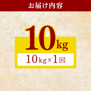 【令和8年産】 米 10kg にこまる 米
