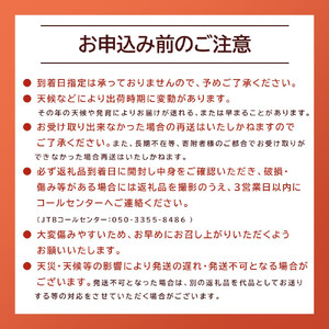 【家庭用】シャインマスカット 1kg ひなたFARM  | シャインマスカット