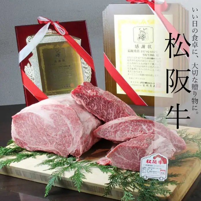 松阪牛ハンバーグ 10個 [ ハンバーグ ] / 2.4-8