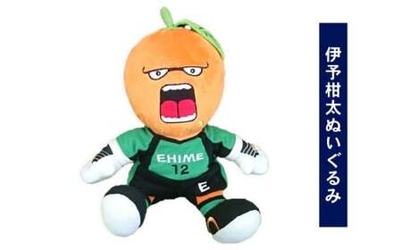 愛媛FC ぬいぐるみ 三柑セット （オ～レくん・たま媛ちゃん・伊予柑太） サッカー マスコットキャラクター （726）