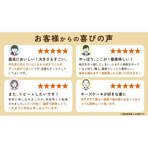 濃厚 ！ ベイクドチーズケーキ 5号（ 冷凍 ）