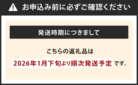 やまや 訳あり 熟成無着色 辛子明太子 切子 約500g×2袋 計約1kg 明太子 めんたいこ めんたい たらこ 切れ子