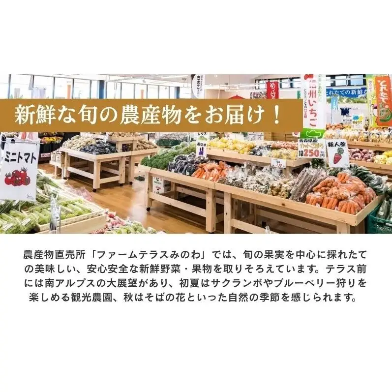 訳あり 梨 南水 4kg (8～12玉)  果物 フルーツ 信州 長野 駒ヶ根市