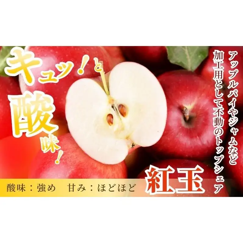 訳あり りんご 紅玉 4.5kg (玉数おまかせ) 果物 フルーツ 信州 長野 駒ヶ根市