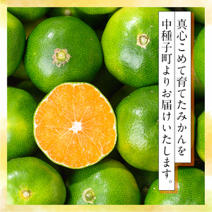n373 ＜先行予約＞ 極早生 温州みかん 約5kg サイズ大小混合 鹿児島 種子島 蜜柑 ミカン 【提果樹園】