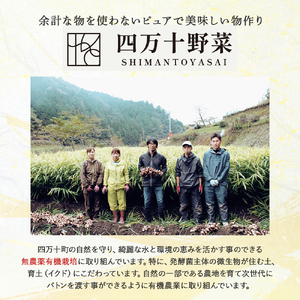 TOSA七味セット（TOSA七味18g、詰め替えパック40g）／Fsg-01 調味料 スパイス 七味 七味唐辛子 ゆず 柚子 生姜 原木椎茸 ピリ辛 香辛料 ギフト お歳暮 お中元 母の日 父の日 のし 熨斗 産地直送 送料無料 高知県 四万十町
