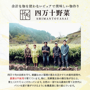 【有機玄米】希少な四万十の香る米 4.8kg（8合×4袋）四万十INEKA（稲華香米）化粧袋仕様 ／Fsg-Z02 小分け 便利 玄米 高知県 四万十町