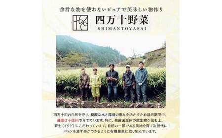 【有機玄米】希少な四万十の香る米 10kg 定期便4回（4か月）四万十INEKA（稲華香米）化粧袋仕様 ／Fsg-Z03 小分け 便利 玄米 高知県 四万十町