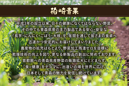 青森県産 にんにく パウダー 計40g(20g×2袋) [柏崎青果 青森県 おいらせ町 oi02ayo620013]