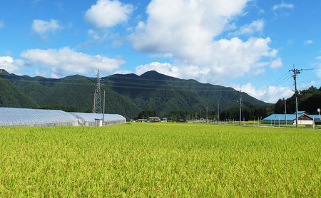 【つちっこ田島ファーム】南会津産ひとめぼれ2kgとあやこがね味噌1kgと100％ミニトマトジュースのセット お米 果汁飲料 野菜飲料 米味噌 