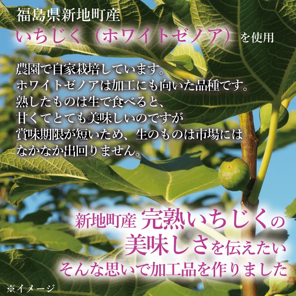 新地町産いちじく加工品セット　いちじくセミドライフルーツ　50g×2袋 いちじくのジャム140g×1本