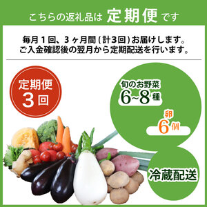 【3回定期便】旬のお野菜詰め合わせセット 卵 6個付 野菜