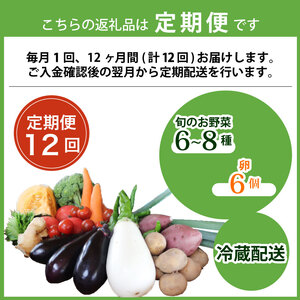 【12回定期便】旬のお野菜詰め合わせセット 卵 6個付 野菜