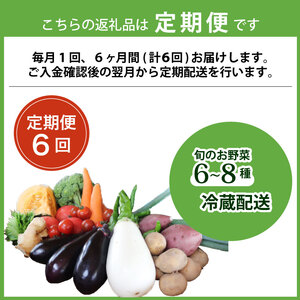 【6回定期便】旬のお野菜詰め合わせセット 定期便 野菜
